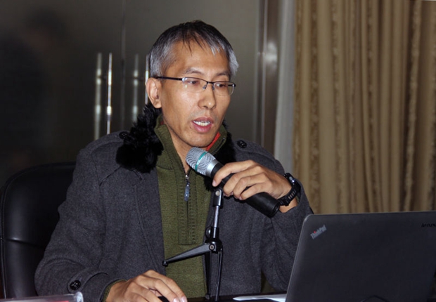 王崇倡教授发言